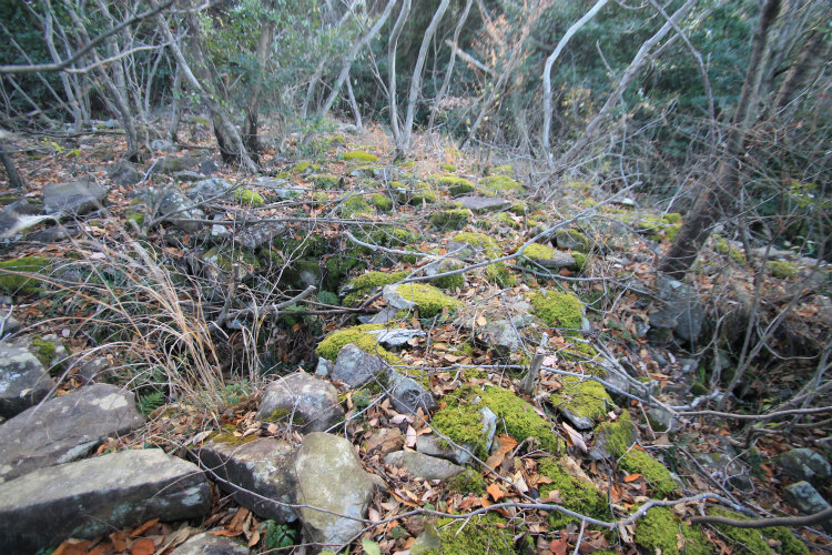 Ōsayama Wankashi-zuka Kofun (PID:117610) Ōsayama Wankashi-zuka Kofun