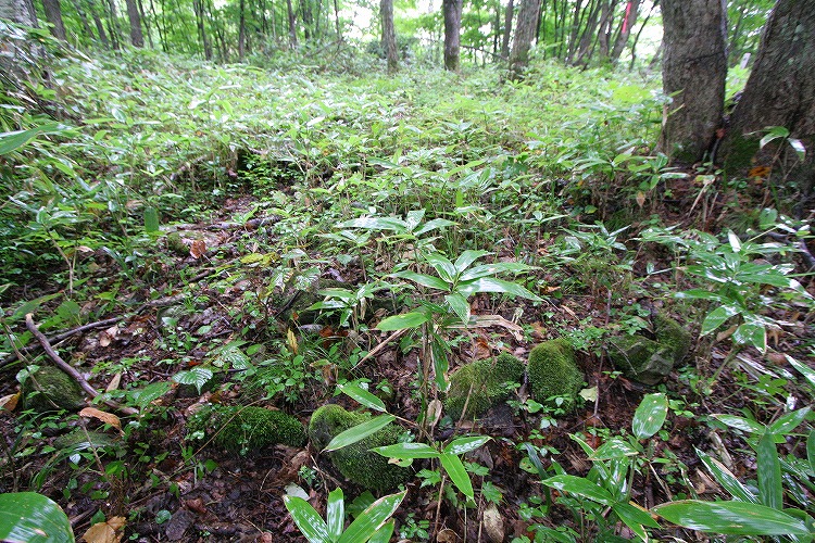 Kamui-Kotan (PID:66876) Kamui-Kotan