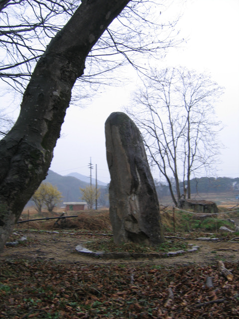 Seogu-ri menhir; standing stone is used to indicate the boundary of a village. It was also the object of worship in the folk religion that workships natural objects. It is saild that village people hold memorial services in front of standing stone. Its height is abour 2.45 Meters.

Its GPS is about 37