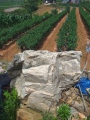 Saban-ri dolmen - PID:228417