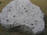 Haman museum Cup Hole Stone submitted by TomLee