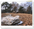 GoJeong-ri dolmens submitted by tomLee