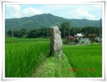 Walarm-ri Menhir 1 submitted by tomLee