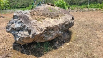 Ansan-Ri Dolmen - PID:227467