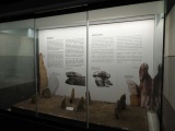 Click for full size image of Muzium Negara (PID:162409) Muzium Negara