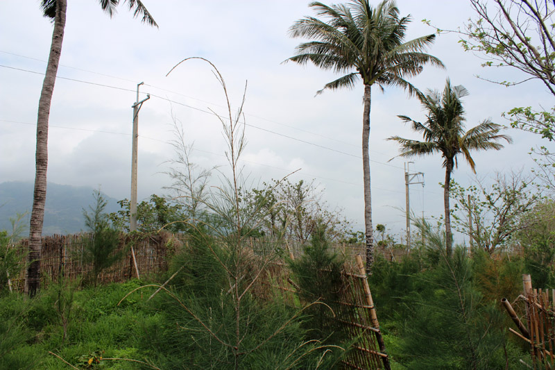 Jiu-Xiang site.