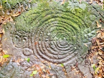Wanshan petroglyphs - PID:297857