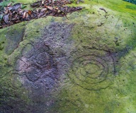 Wanshan petroglyphs - PID:297853