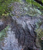 Wanshan petroglyphs - PID:297852