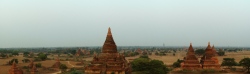 Bagan temple area