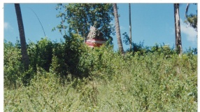 Kho Samoi Standing Stone