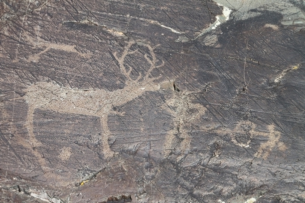 Shiveet Mountain Petroglyphs
