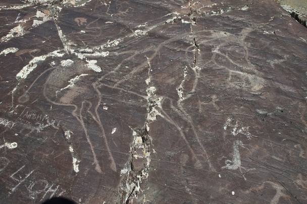 Click for the gallery page to add comments and vote (PID:75769) Shiveet Mountain Petroglyphs