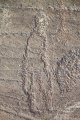 Lake Hoton Petroglyphs - PID:75906