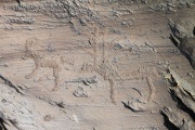 Lake Hoton Petroglyphs - PID:75912