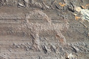 Lake Hoton Petroglyphs - PID:75910