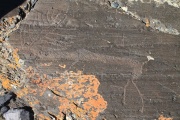 Lake Hoton Petroglyphs - PID:75916