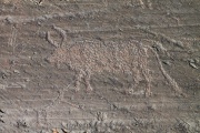 Lake Hoton Petroglyphs - PID:75915