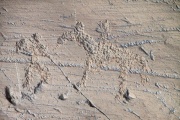 Lake Hoton Petroglyphs - PID:75911