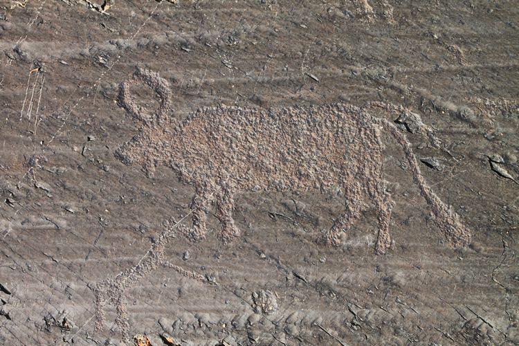 Lake Hoton Petroglyphs