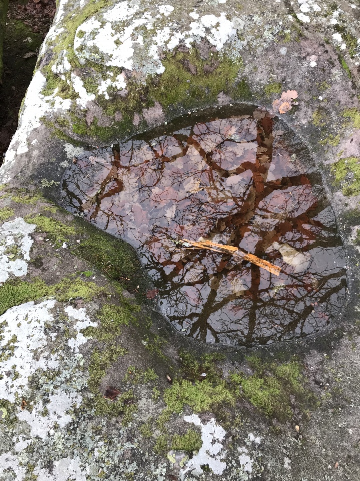 Bassins de la tête des Cuveaux