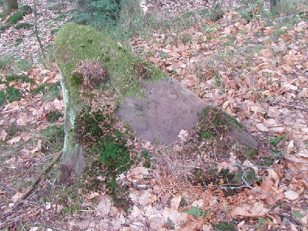 Les Bornes Saint-Martin