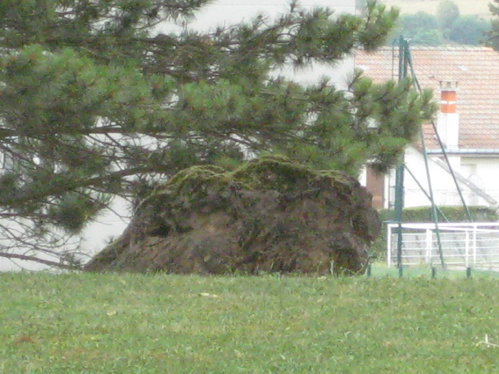 La Grosse Borne (Chauvoncourt)