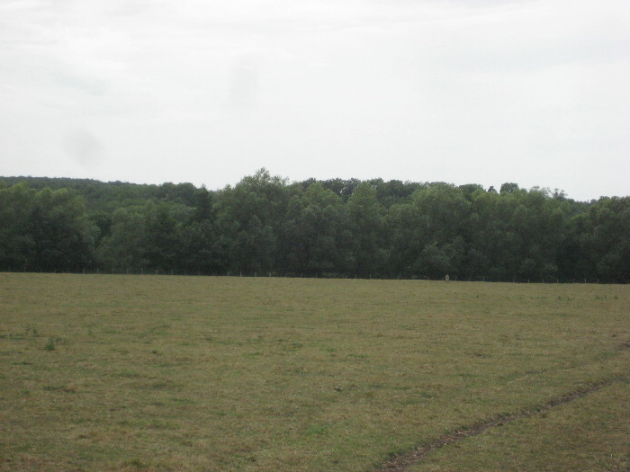 Le Menhir des 3 évêchés