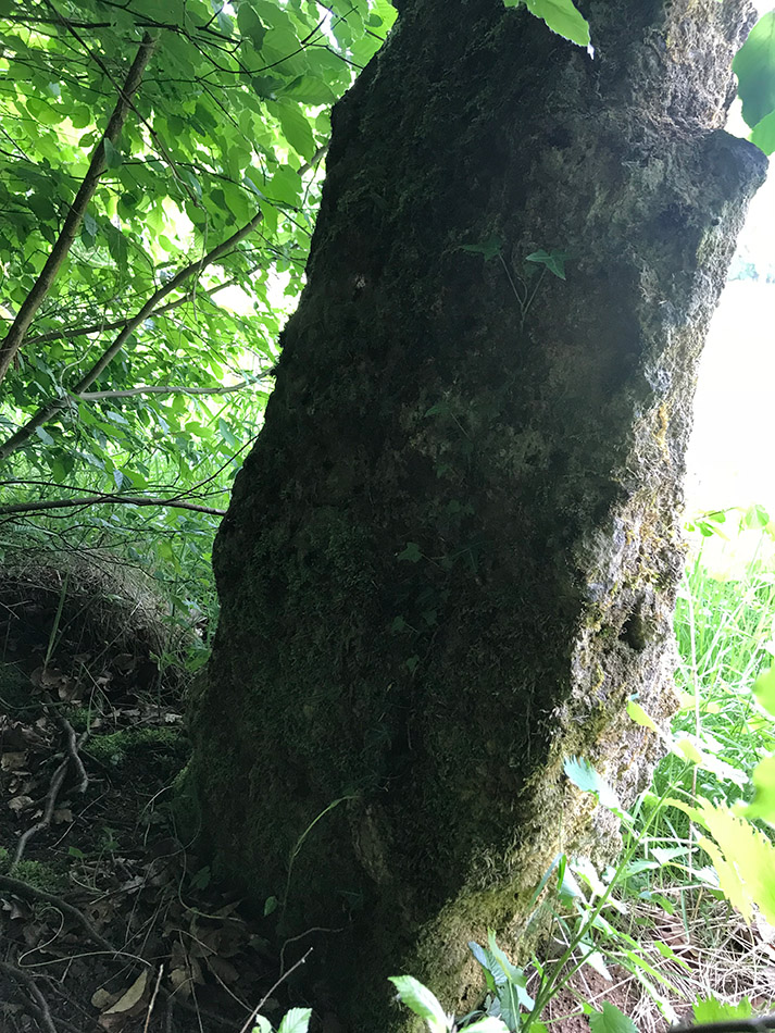 La Pierre-au-Jô Menhir