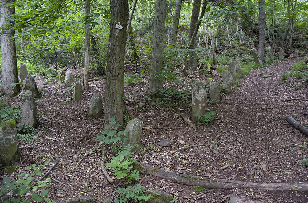 Click for the gallery page to add comments and vote (PID:183576) Appenthal Menhirs