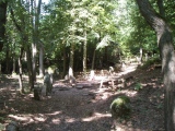 Appenthal Menhirs - PID:16450