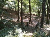 Appenthal Menhirs - PID:16451