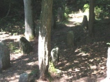 Appenthal Menhirs - PID:16455