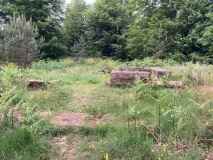 Le Petit Chateau du Meisenbach - PID:291038
