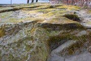 Le Kasinostein