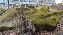 Le Kasinostein