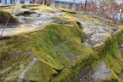 Le Kasinostein