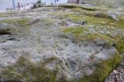 Le Kasinostein