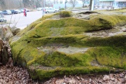 Le Kasinostein