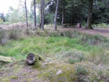 Camp Celtique de la Bure - PID:171622