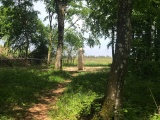 La Pierre-au-Jô Menhir