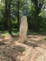 La Pierre-au-Jô Menhir