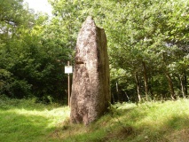 Pierre Borne (Bertrichamps)
