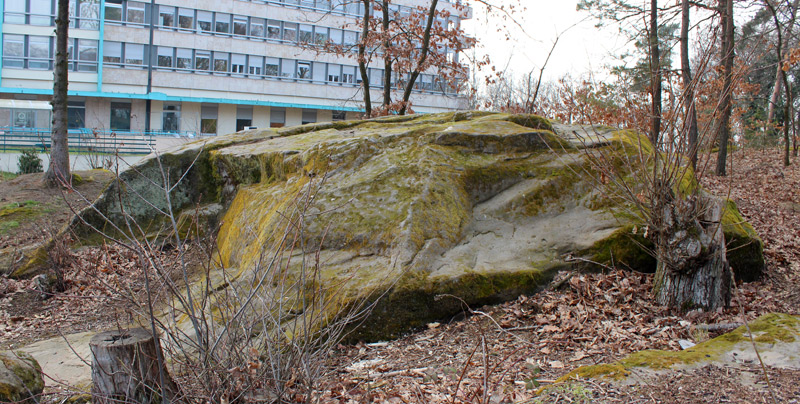 Le Kasinostein