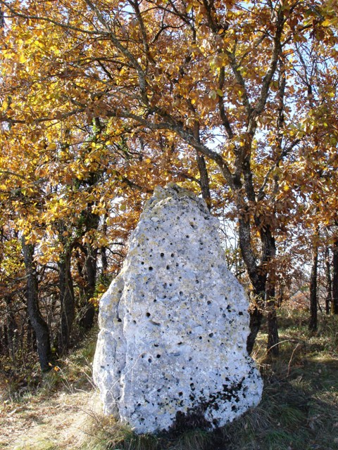 Menhir de la Croix-du-Diable