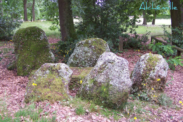 Nécropole mégalithique de Peyrehaut à Villenave-d'Ornon.