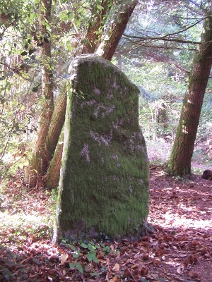 Menhir de Fixard