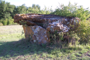 Dolmen de Chez Vinaigre