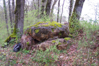 Site in Aquitaine:Dordogne (24) France
Dolmen de la Vaurelie à Tocane Saint Apre
