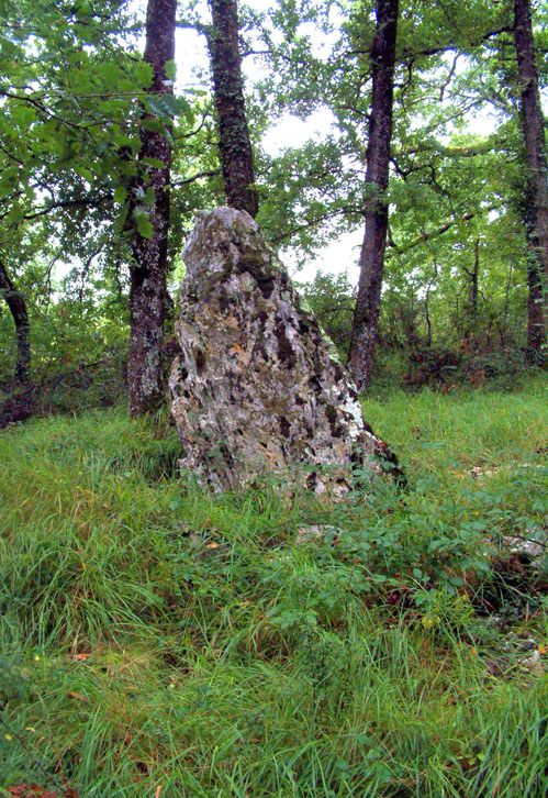 Peyregude menhir